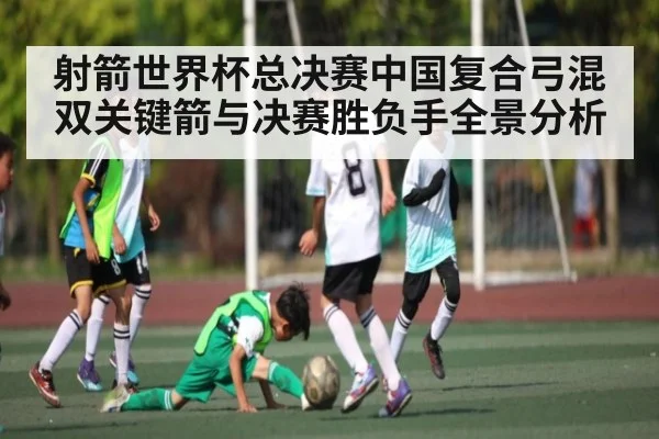 射箭世界杯总决赛中国复合弓混双关键箭与决赛胜负手全景分析